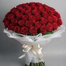 Букет 101 Красная роза Блэк Мэджик #REPLACE_PRED# Липицы