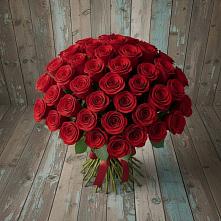 Букет 55 Красных роз Фридом #REPLACE_PRED# Липицы