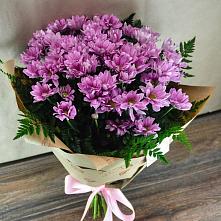 Букет цветов из:  Хризантемы #REPLACE_PRED# Липицы