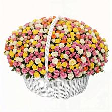 Премиум букет из: Розы #REPLACE_PRED# Липицы