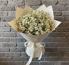 Букет цветов из:  Ромашки в Липицы