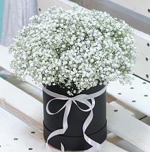 Цветочная композиция из Гипсофила в шляпной коробке #REPLACE_PRED# Липицы