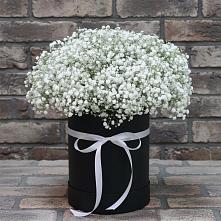 Цветочная композиция из Гипсофила в шляпной коробке в Липицы